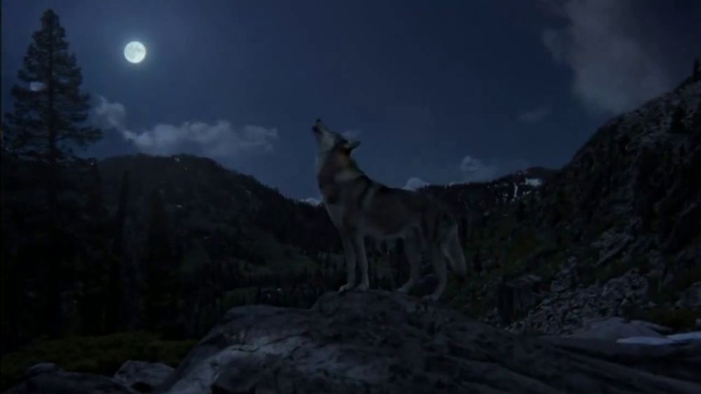 Subaru Outback – Wild at Heart  2026