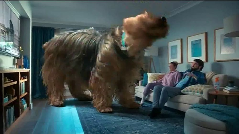 Febreze Big Odors: Air and Fabric (2026)