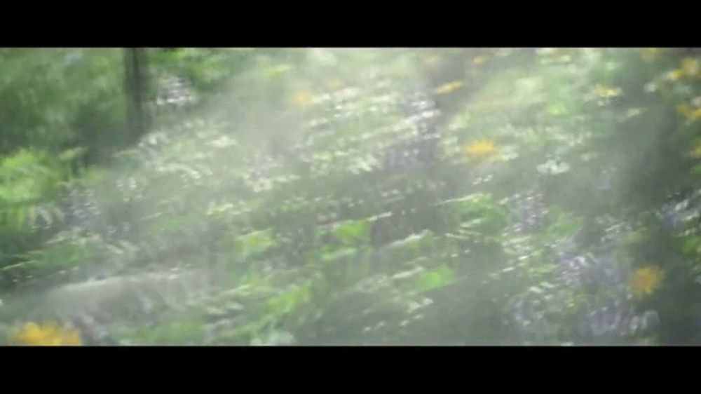 Lowe's SpringFest: “Good Day to Make the Neighbors Jealous” (2026)