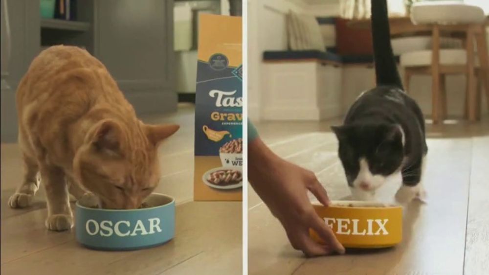 Blue Buffalo Tastefuls Gravy “Just Add Water” – 2026 