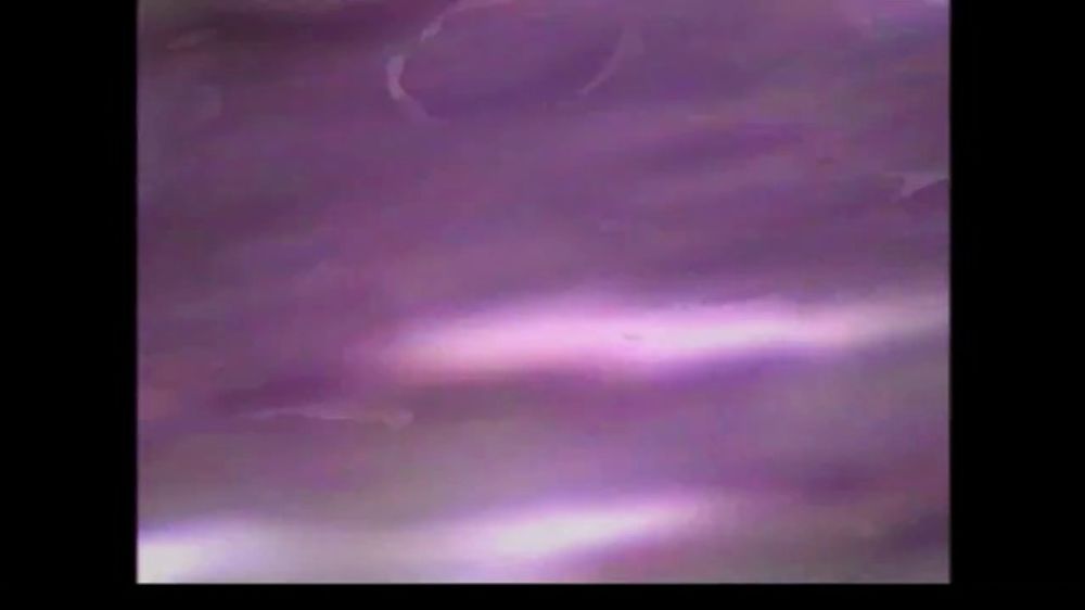 Pedigree Childhood Dog + 2026  (Song by The Cinematic Orchestra)