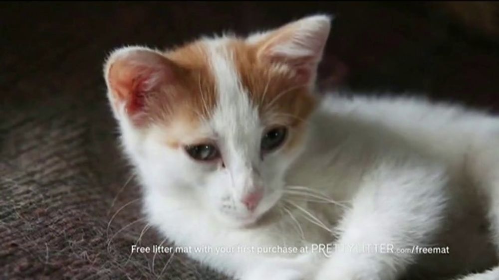 PrettyLitter Dr. Randy Eisel: Free Litter Mat – 2026 