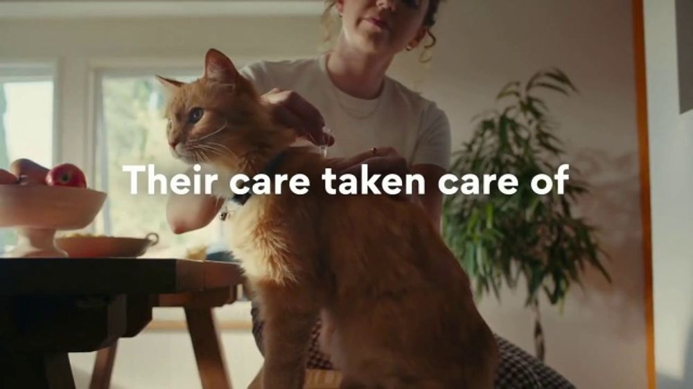 Chewy.com 🐾 Chewy — “Wellness” (2026)