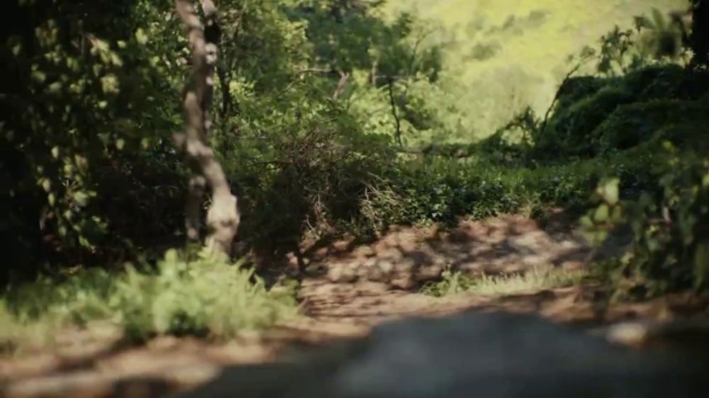 Chewy.com 🐾 Chewy — “Woodie” (2026)