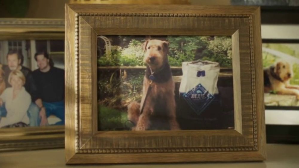 Blue Buffalo I Promise – 2026 