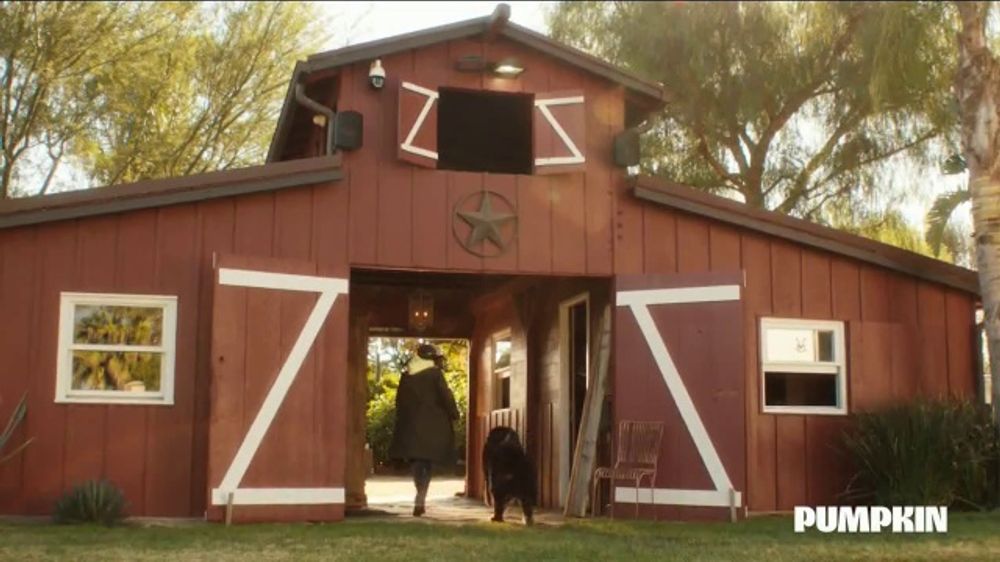 Pumpkin Some Days: Parenting + 2026