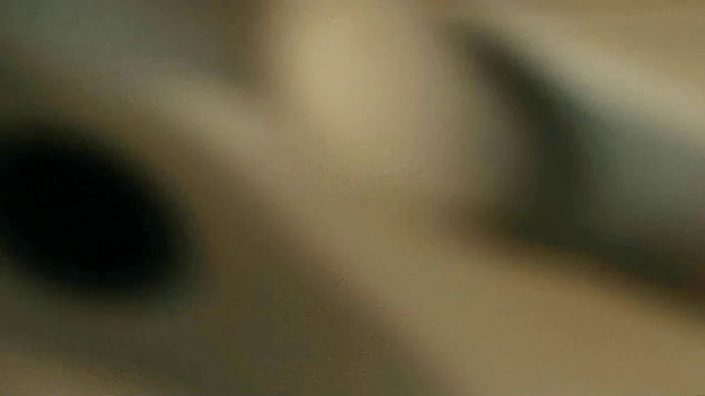 Spectrum Business Delivering Commitment – 2026