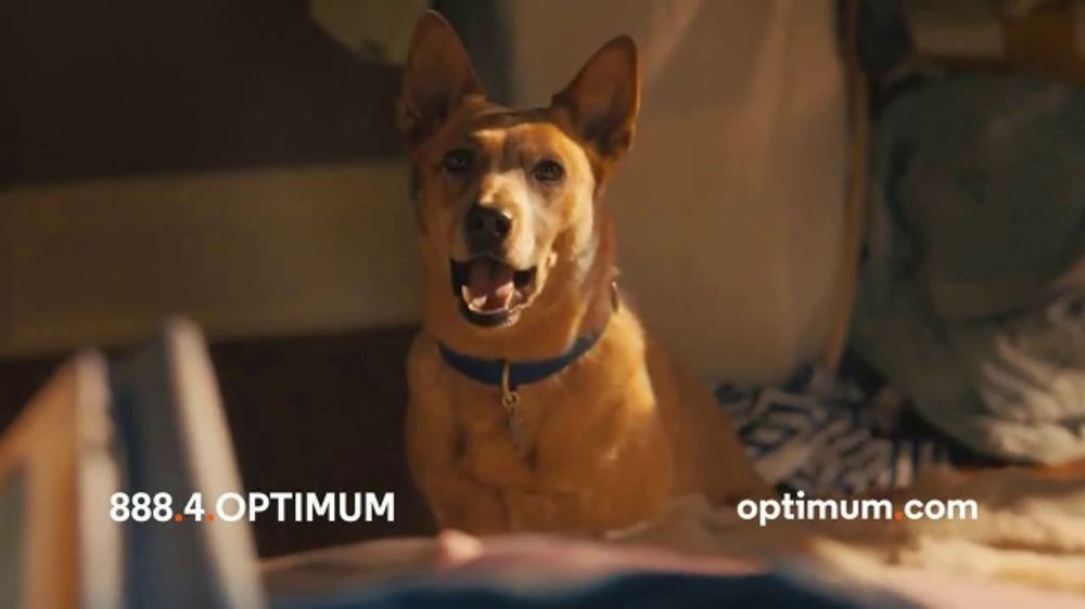 Optimum Fiber – Famosamente Rápido – 2026 – (Spanish)