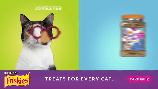 Purina Cat Advert 2016