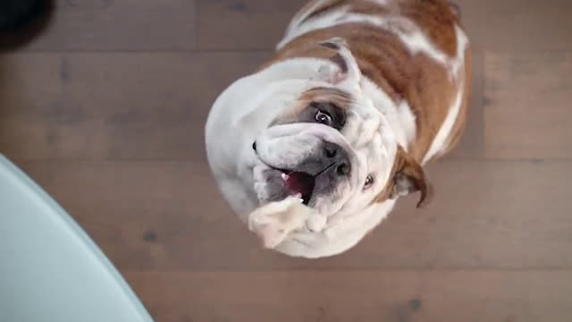  Paper Towels – Chopsticks