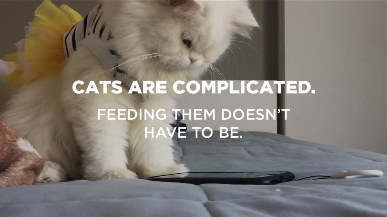 Meow Mix Complicated Cat Ad Commercial on TV