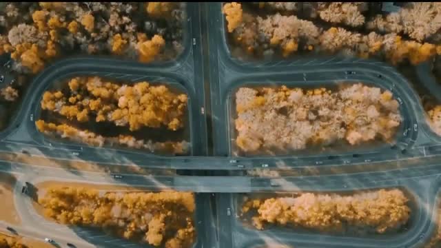  Air Lines | From Up Here