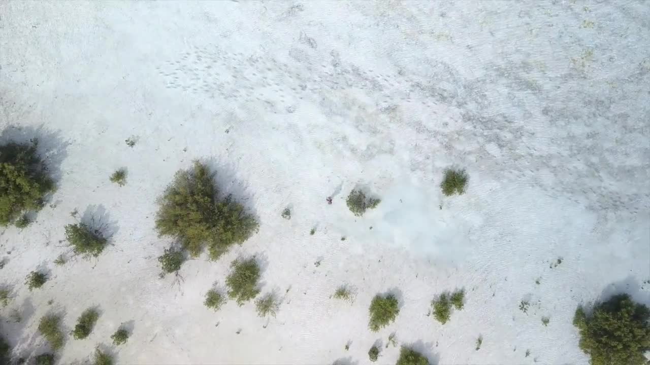  Moment of Chill: Flats Fantasy