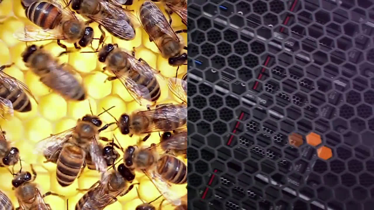  We are Difference Makers