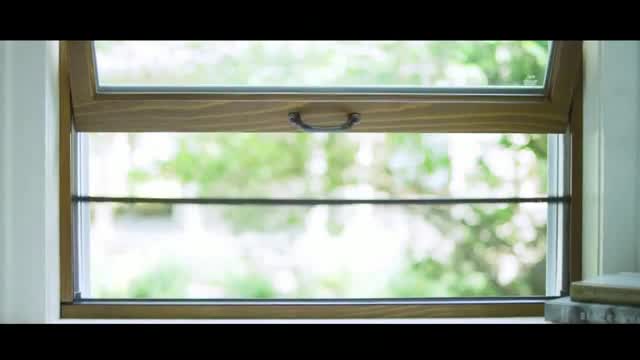  Integrated Roll Screen - Hidden Away: 50 Percent Off