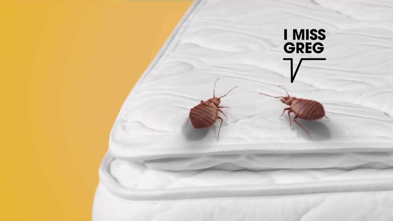 Raid How Long Can a Bed Bug Live? Ad Commercial on TV