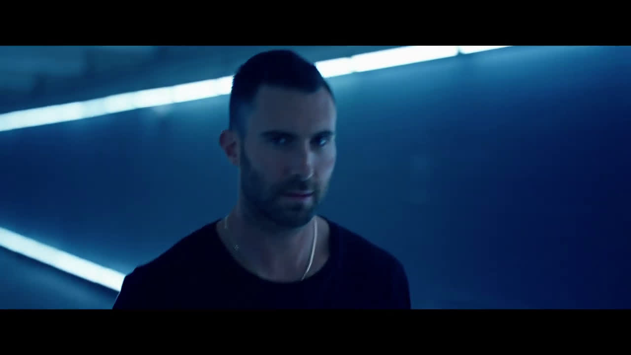 yves saint laurent y adam levine