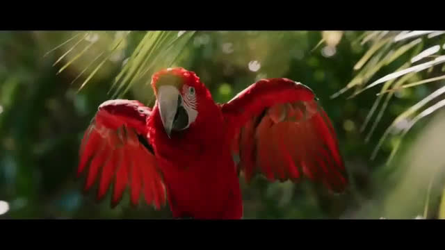  Defy Gravity: Complimentary 5th Night