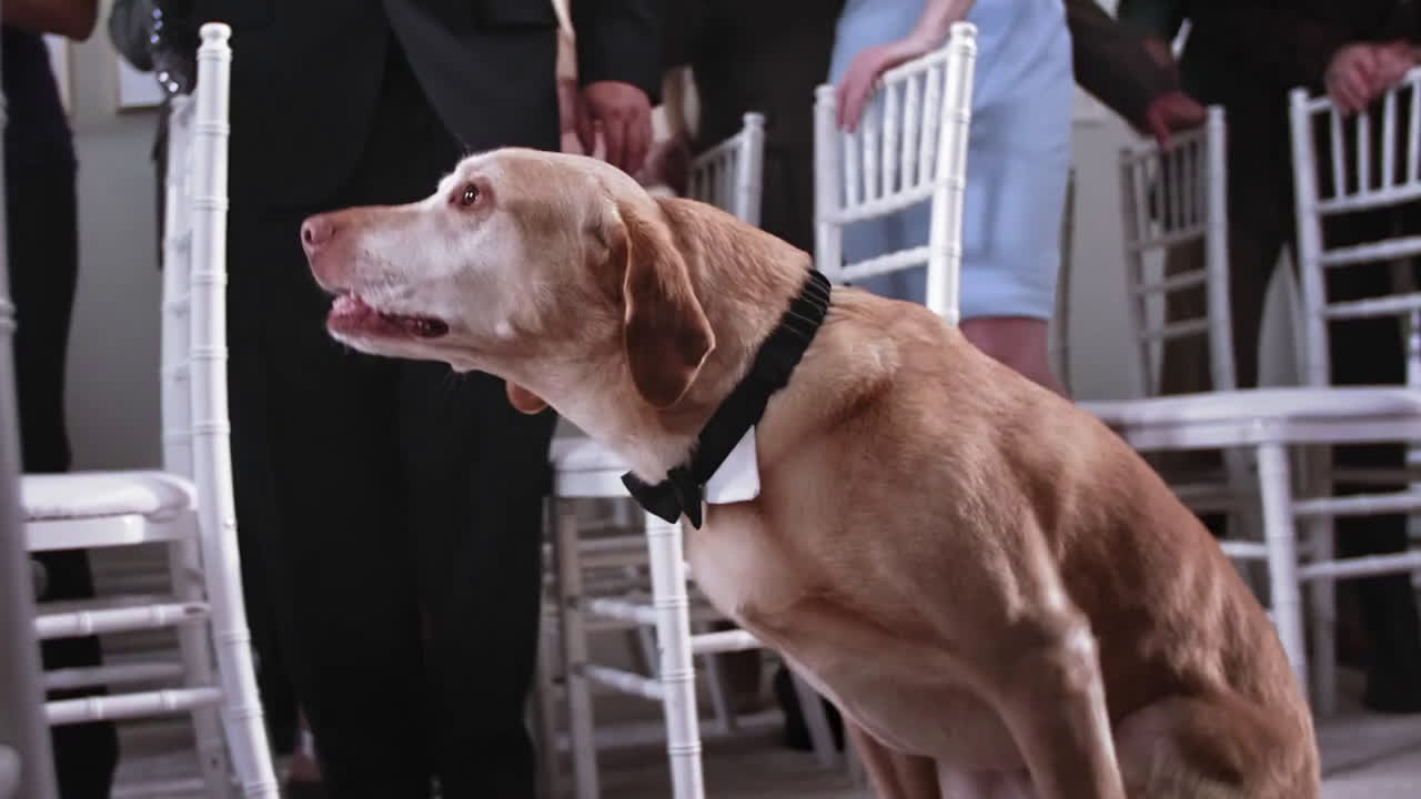 Toby Wedding