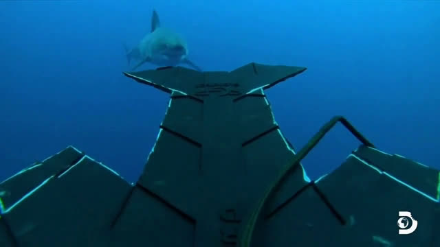  Discovery Channel: Shark Week