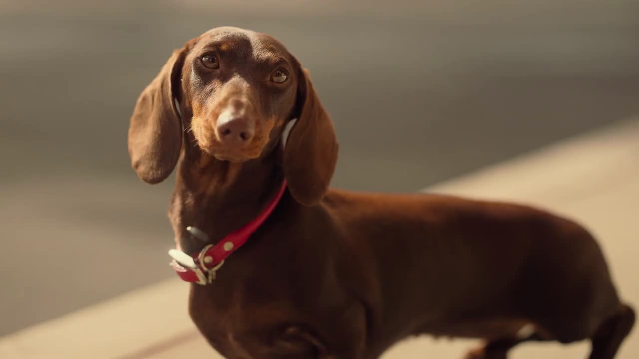  Blasphemous - Release Date Reveal | PS4