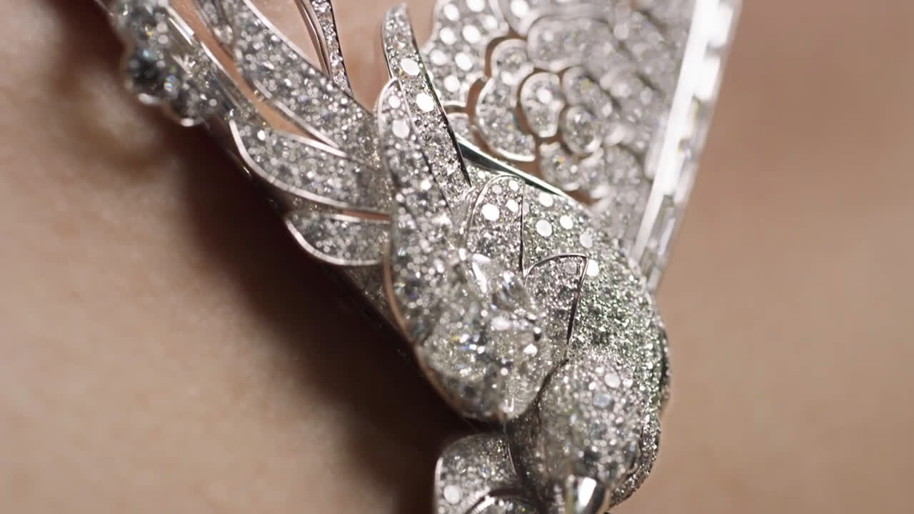  THE COROMANDEL LEGEND - FAUNA