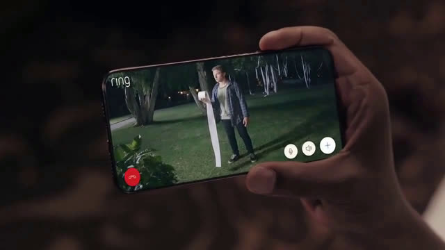  Toilet paper on trees