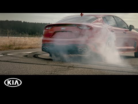  A Quick Introduction | 2019 Kia Stinger