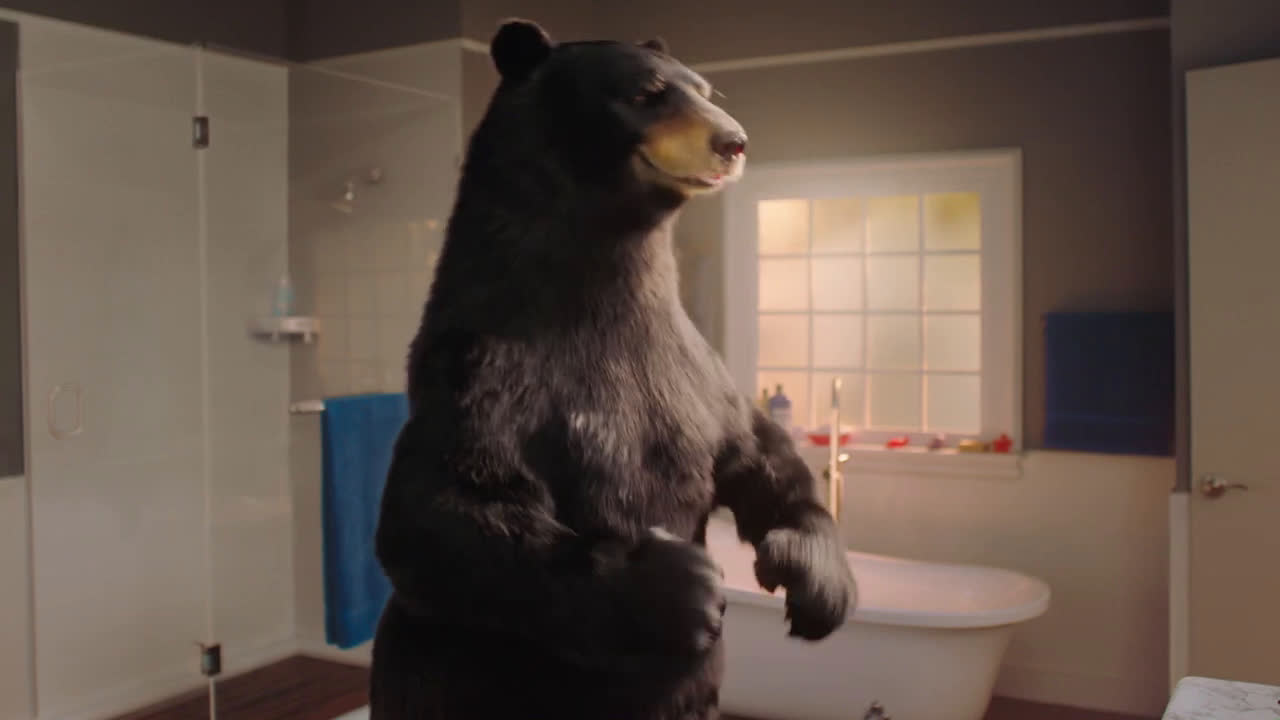 scana-energy-bear-in-the-bathroom-ad-commercial-on-tv