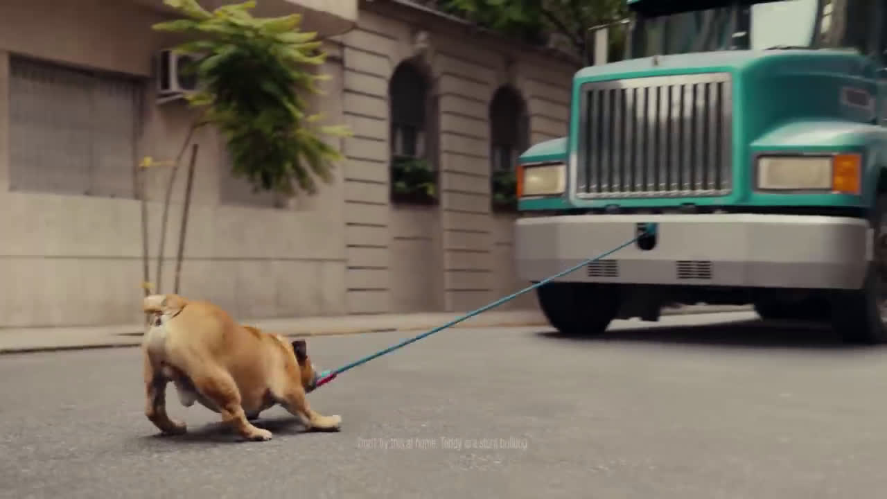 Iams bulldog rolling a truck Ad Commercial on TV