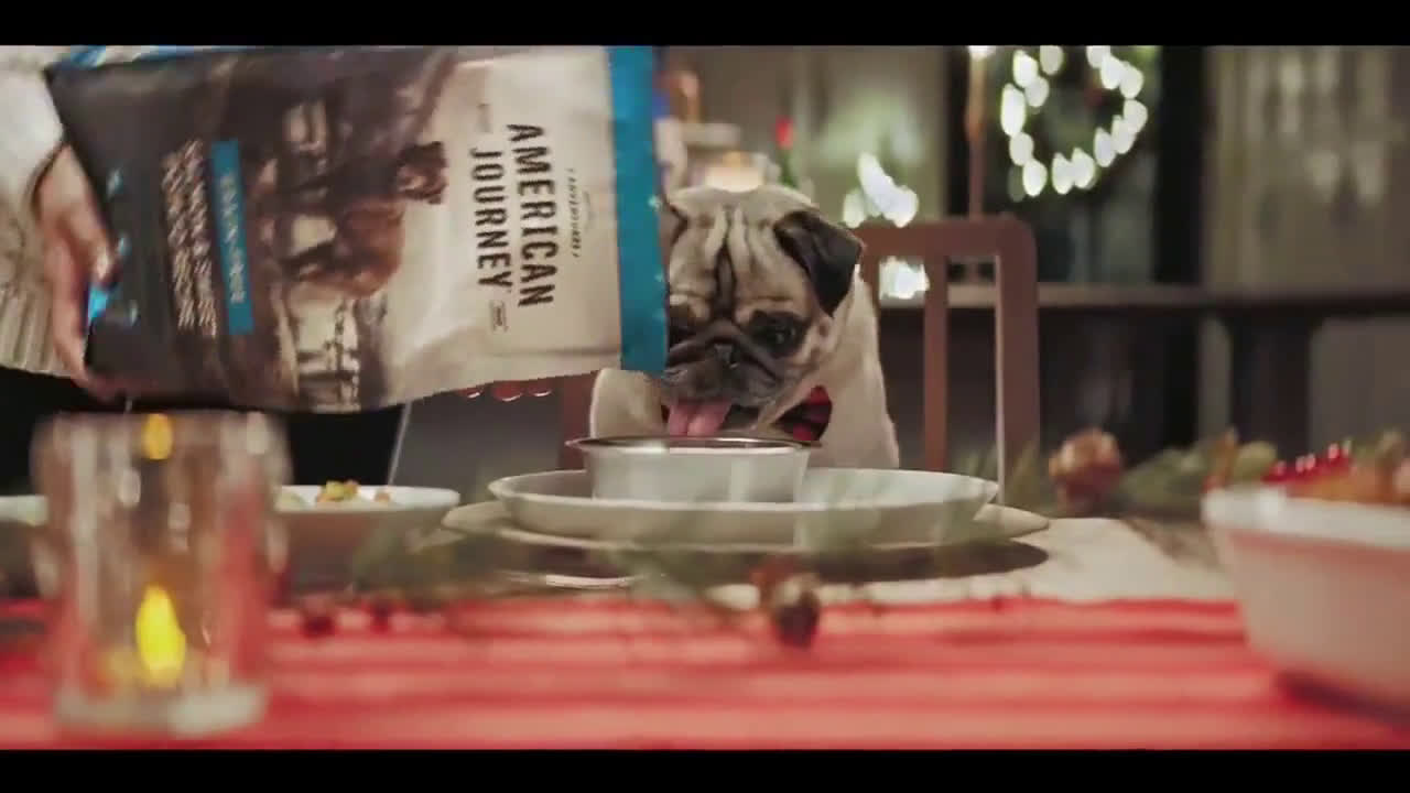 Holidays Ad Commercial on TV