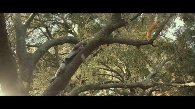 milk bone commercial