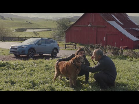  Crosstrek | Subaru Commercial | Old Friends (Full Length)