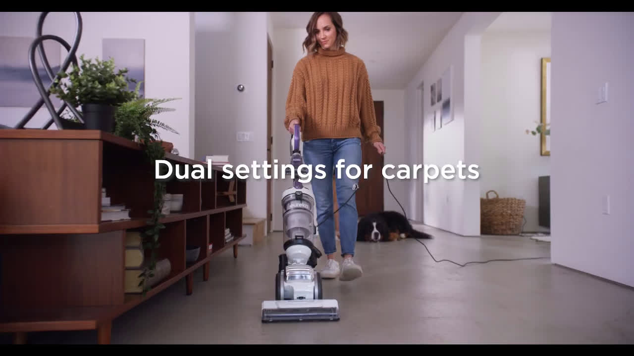  the vacuum cleaner and the dog