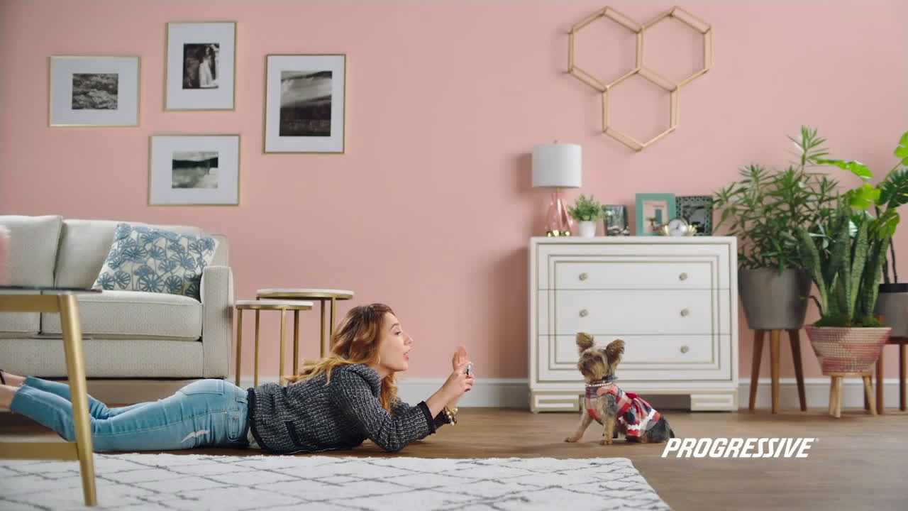  1.2 million pets have social media accounts