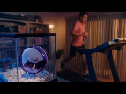  running like hamster