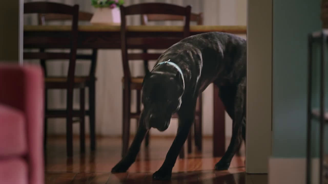  The Official Beer of Skipping Cuffing Season