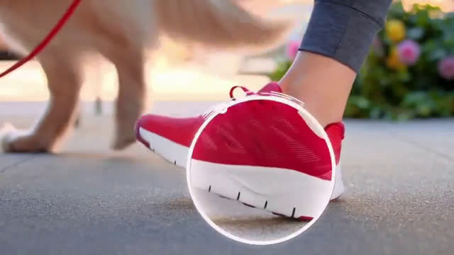 skechers dog commercial