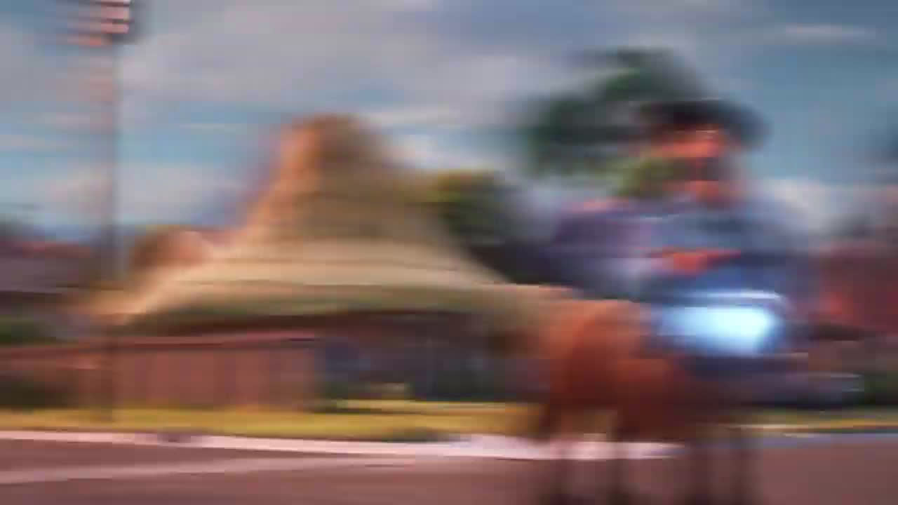  centaur police grabbing the happy Meal