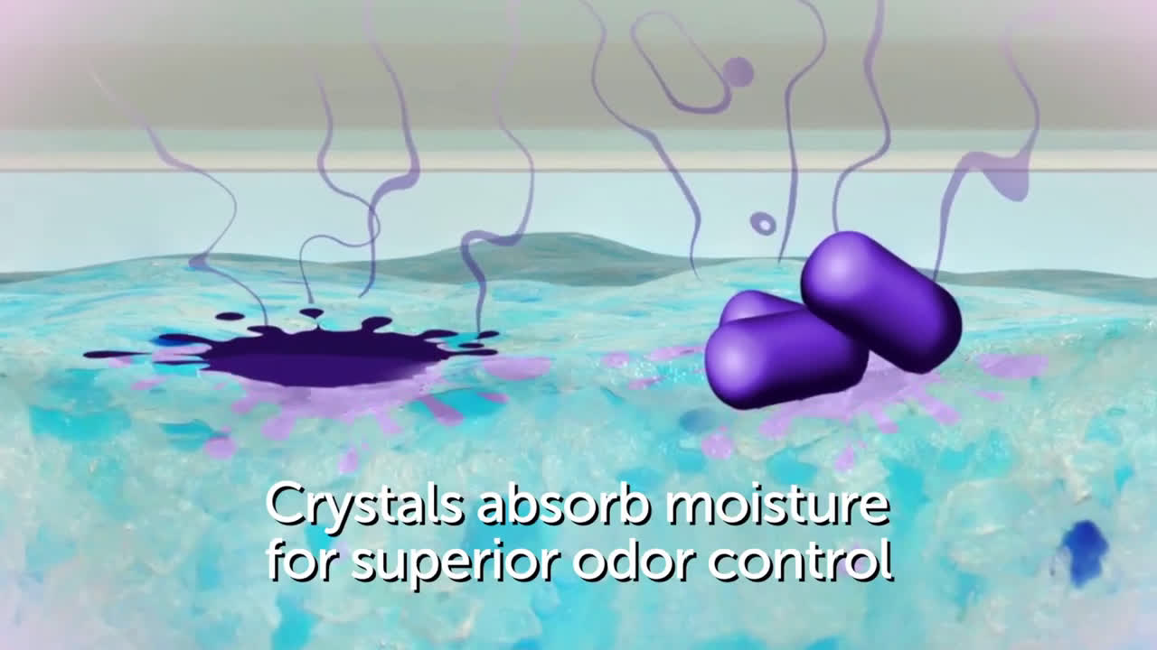 petsafe top entry hood