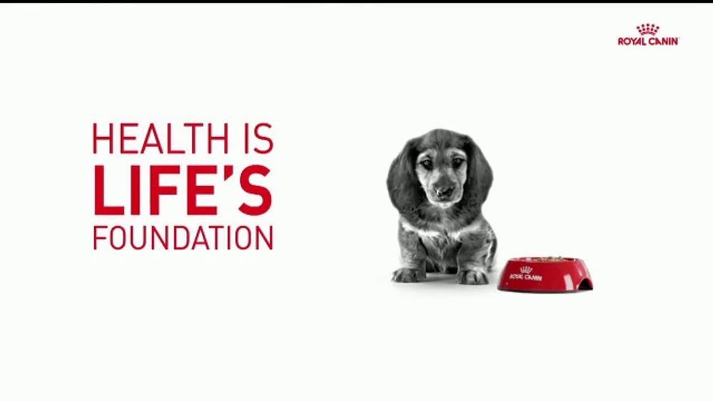 ¿Quién es el actor de voz en el anuncio de Royal Canin "La salud es riqueza"?
