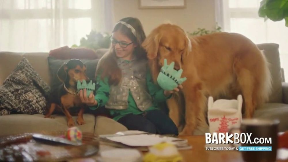 What song plays in the BarkBox 2026 "Puppy Love" campaign?