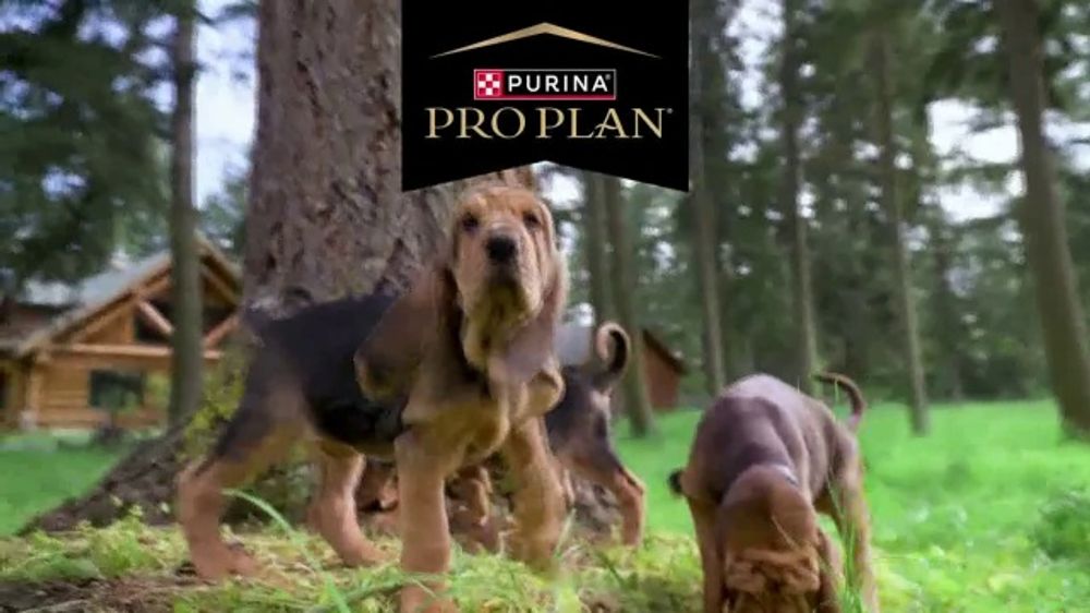 Who is the celebrity in the Purina Pro Plan "Legendary Win" ad?