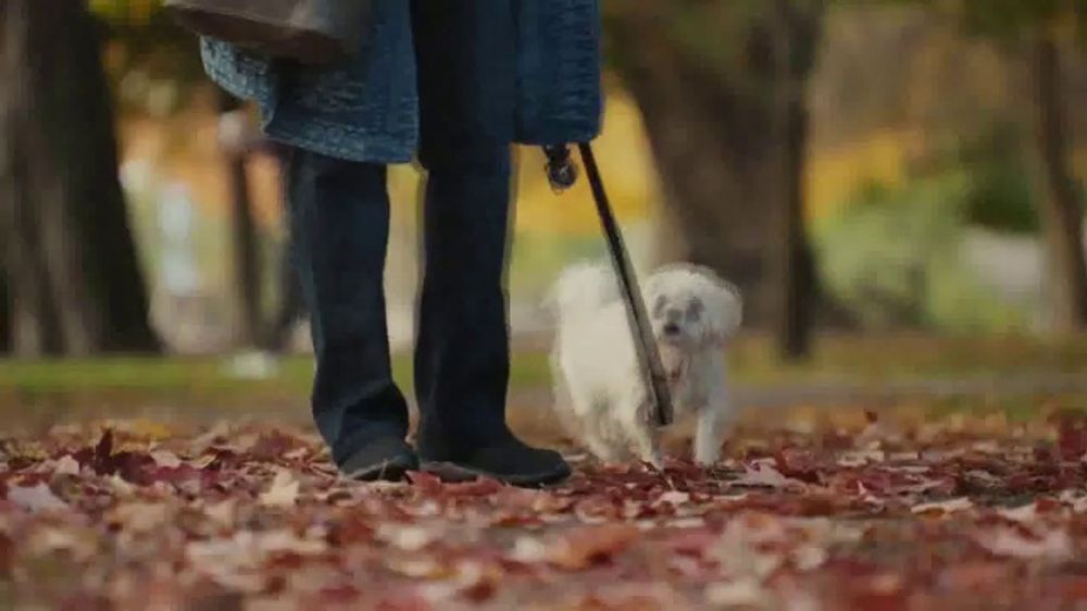 Meaning behind the Farmers Dog "Forever" 2026 commercial explained
