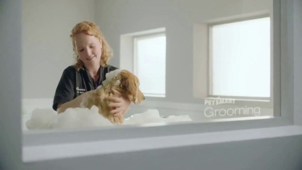 ¿Cuál es la canción de fondo del anuncio "Always by Your Side" de PetSmart?