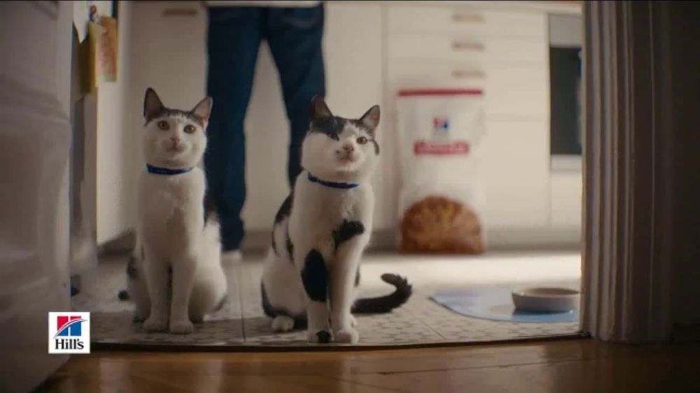 Where was the Hill’s Science Diet 2026 commercial filmed?