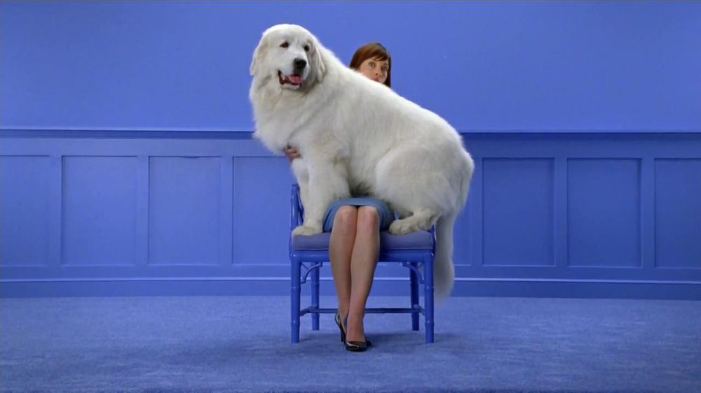 Who appears in the Cesar "Life is Better with a Best Friend" ad?