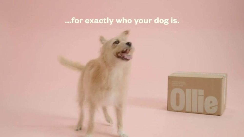 ¿Quién canta en el anuncio de la campaña Ollie Pets 2026?