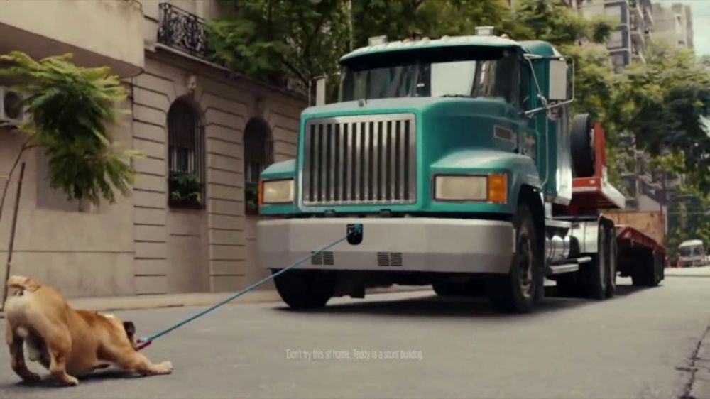 Explicación del significado del anuncio de IAMS "Keep Them Young"