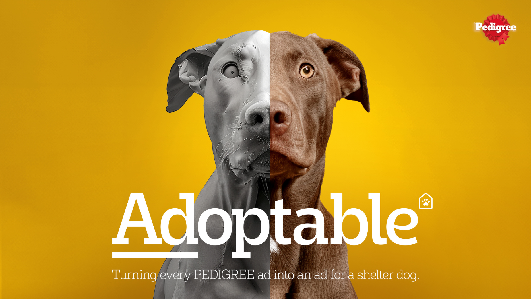 ¿Cuál es la canción de fondo del anuncio "Adopta la esperanza" de Pedigree de 2026?